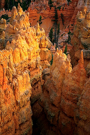 Sunset at Sunrise Point<br>A Telephoto Essay<br>Bryce Canyon National Park<br>Utah, USA: Bryce Canyon National Park, Utah, United States of America
: Sunsets; Geological Formations.