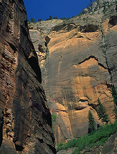 The Narrows<br>Zion National Park<br>Utah, USA: Zion National Park, Utah, United States of America
: Rivers; Canyons.